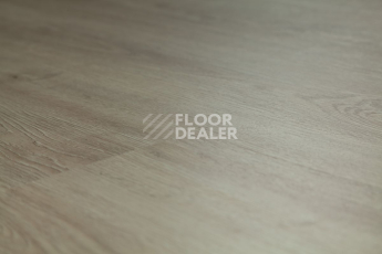Tarkett Funky House GUSTO фото 2 | FLOORDEALER